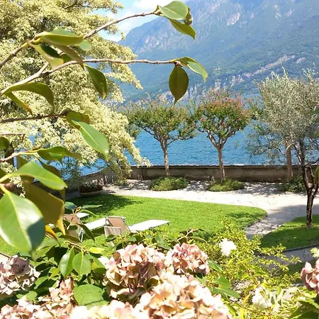 Magnolia Oliveto Lario