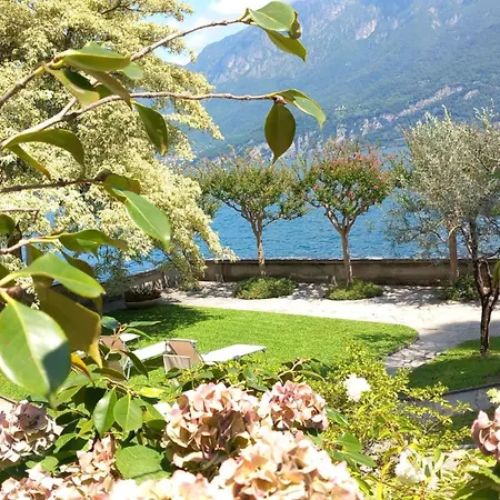Magnolia Oliveto Lario