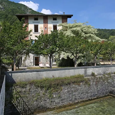 Magnolia Oliveto Lario