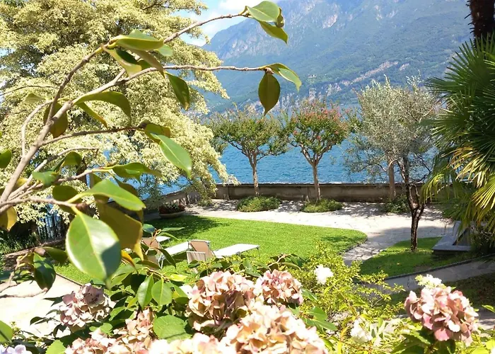 Magnolia Oliveto Lario